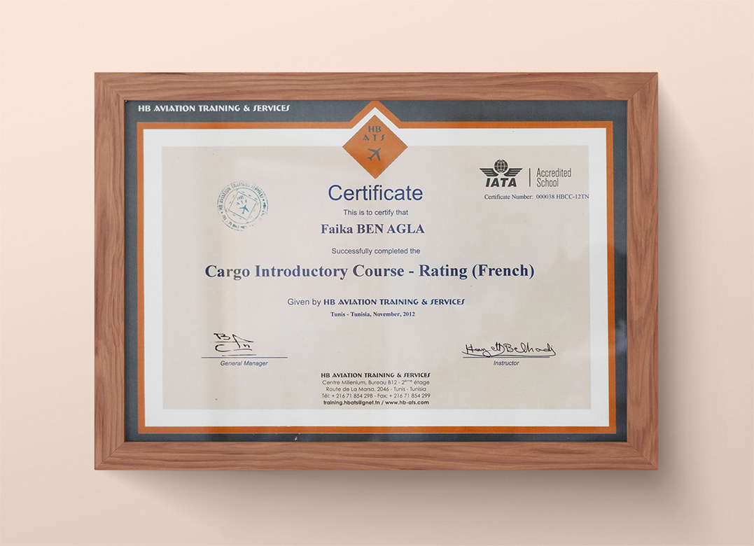 Cargo Introductory Course